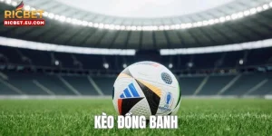 Kèo Đồng Banh - Cơ Hội Thắng Lớn Dành Cho Bet Thủ